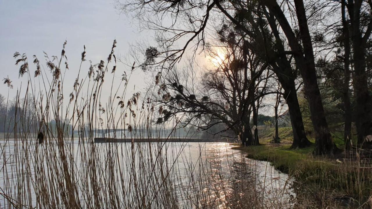 Les Gites Du Moulin Du Port Saint-Georges-sur-Cher Buitenkant foto